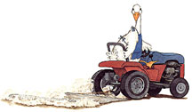 Albert on tractor preparing field
