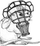 drawing of mouse in catcher’s mask.